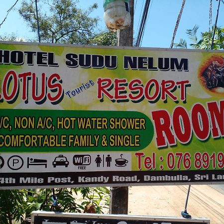 Lotus Inn Tourist Resort Дамбулла Экстерьер фото