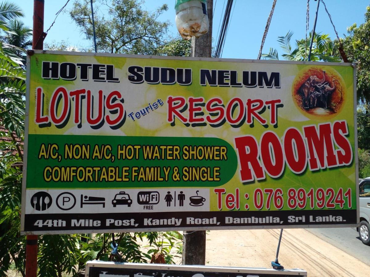 Lotus Inn Tourist Resort Дамбулла Экстерьер фото