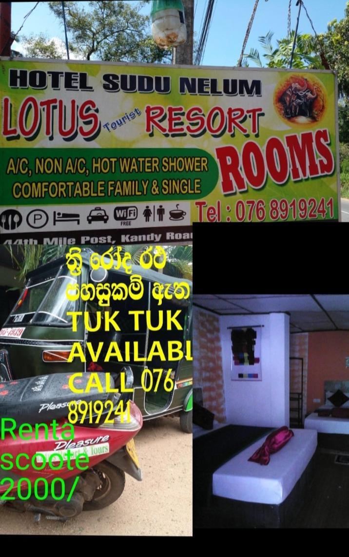Lotus Inn Tourist Resort Дамбулла Экстерьер фото