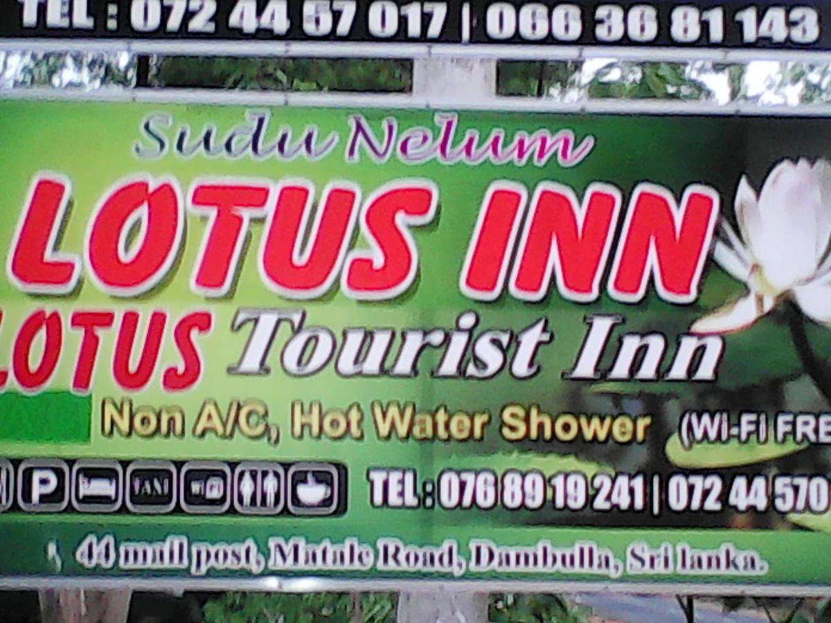 Lotus Inn Tourist Resort Дамбулла Экстерьер фото